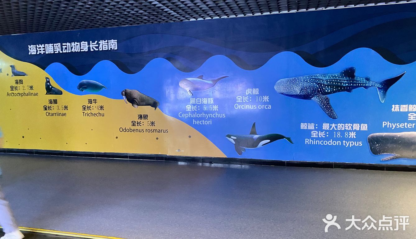 秦皇岛新澳海底世界