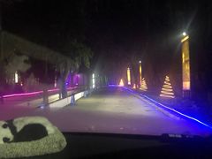 -枫花园汽车电影院(朝阳公园店)