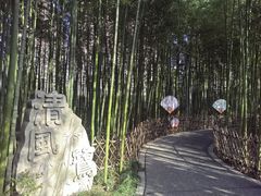 -陈家山荷花公园
