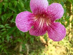 iphone_upload_pic-东部华侨城