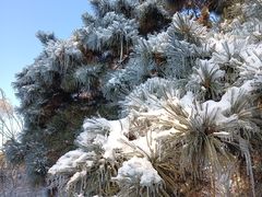 -长春市南湖公园