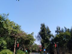 -五缘湾湿地公园