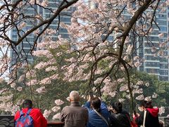 -红星桥(地铁站)