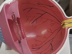 -武汉大学附属爱尔眼科医院(湖北总院)