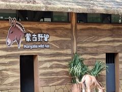 -广州动物园