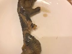 -老号尤兔头(幸福店)