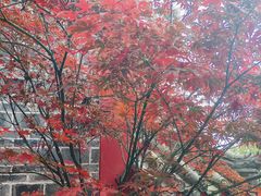 -成都老君山