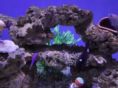 -蓬莱欧乐堡海洋极地世界