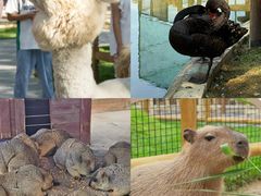 -南戴河国际娱乐中心