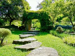-东莞植物园