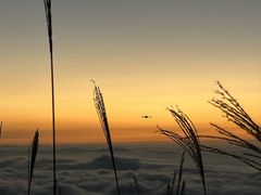 -萍乡武功山风景名胜区