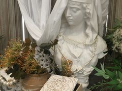 -共舞时光猫咖·狗咖(新街口店)