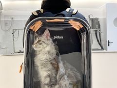 -comecome来吧宠物(奥克斯中心店)