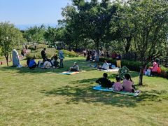 -铁山坪森林公园