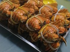 -乡乐园蟹庄·阳澄湖农家乐