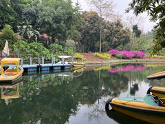 -晓港公园