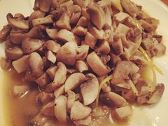 -宝莱纳啤酒花园餐厅PAULANER BRAUHAUS Nanjing(广州路店)