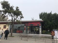 -洛阳古墓博物馆