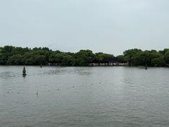 -西湖游船
