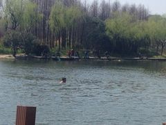 iphone_upload_pic-新江湾城公园