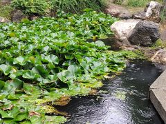 -莲湖公园