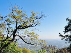 -北京鹫峰国家森林公园