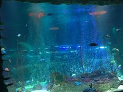 -沈阳海洋探索中心