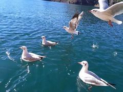 -丽江泸沽湖景区