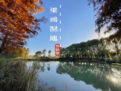 -梁鸿国家湿地公园