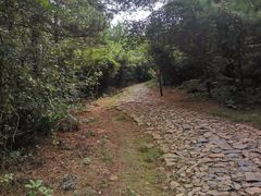 -缥缈峰景区
