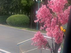 -金陵矩阵(聚宝山公园店)