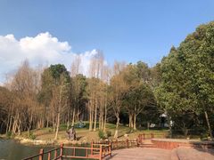 -新洲生态园