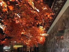-寻梦盛唐主题水会(龙岗店)
