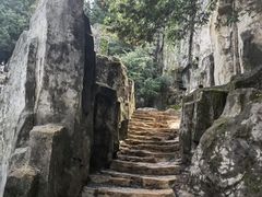 -长虫山生态公园风景林