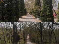 -抱犊寨风景区