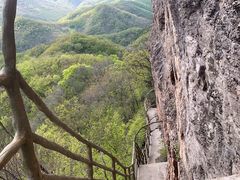 -天女山森林公园