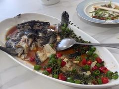 -道南書院·私房菜·早午茶·茶馆