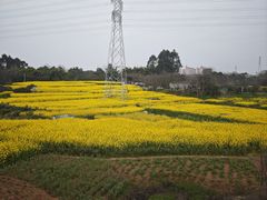 -永辉超市(凯德·天府店)
