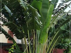 -云溪植物园