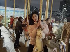 -锦江乐园舞狸花花游园会(夜场专享)