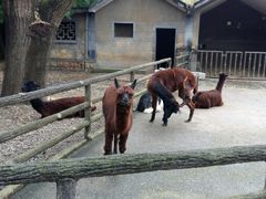 -昆明动物园