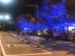 -老虎石海上公园