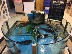 -屯靠屯地锅王(西南路店)
