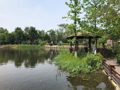 -成飞公园