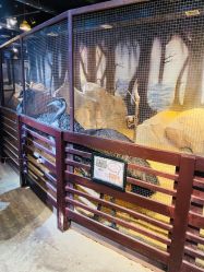 -酷嗒动物文化乐园(cutezoo西溪乐天城店)