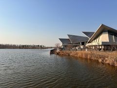 -盐城丹顶鹤湿地生态旅游区