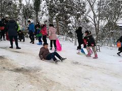 -镇江市南山风景名胜区竹林景区