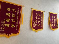 -宠爱国际动物医院·疑难骨科·心肾内科·皮肤科(太阳宫店)