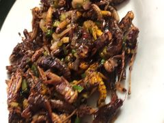 -天强农家菜馆