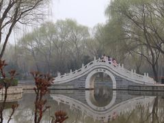 -洛阳市隋唐城遗址植物园